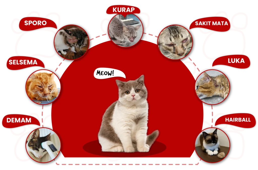 cat pro.png