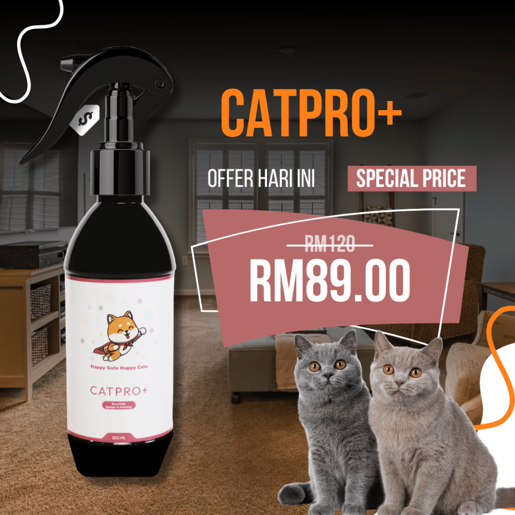 normal price & offer