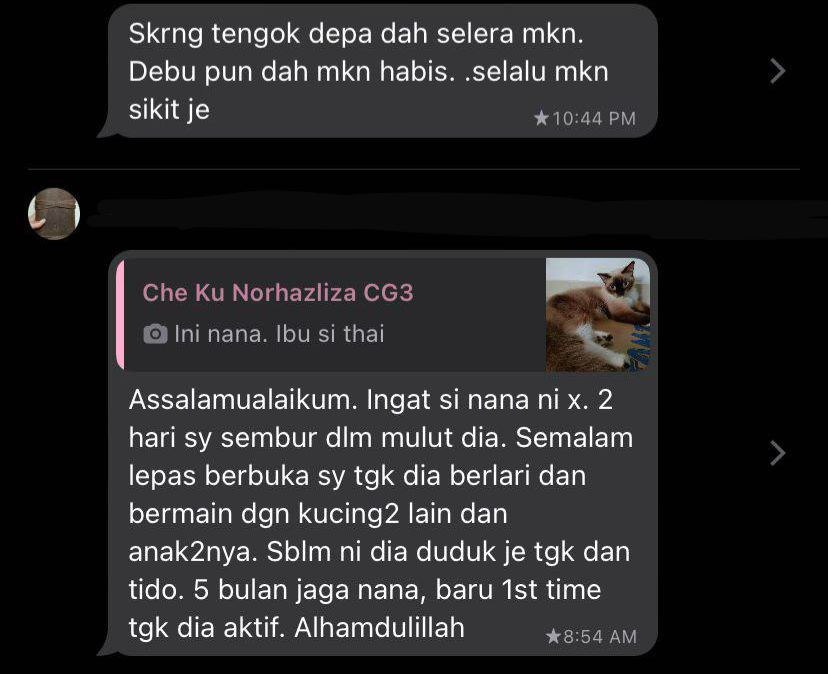 testimoni cat pro 3.jpg