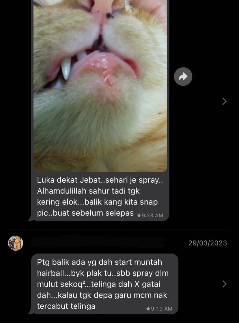 testimoni cat pro 4.jpg
